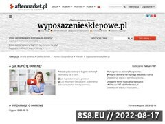 Miniaturka domeny wyposazeniesklepowe.pl