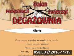 Miniaturka domeny www.xn--degaownia-ecc.pl