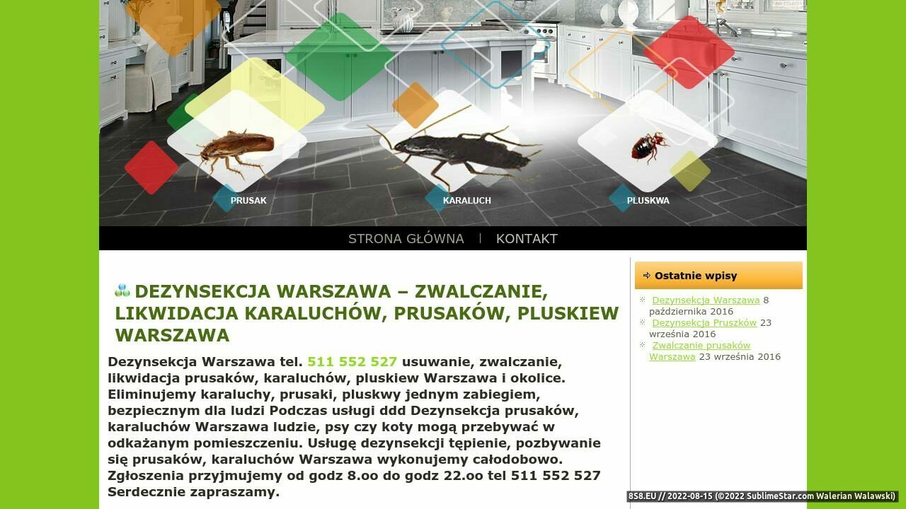 Dezynsekcja Warszawa - zwalczanie prusaków (strona xn--zwalczanie-prusakw-karaluchw-pluskiew-mudk.pl - Dezynsekcja Warszawa)