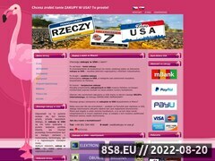 Miniaturka domeny www.zakupy-w-usa.pl