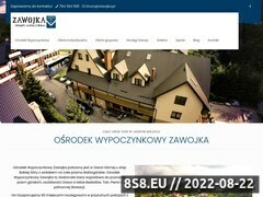 Miniaturka domeny www.zawojka.pl
