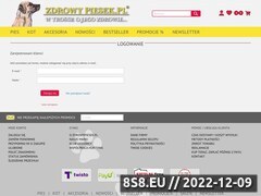 Miniaturka domeny www.zdrowypiesek.pl