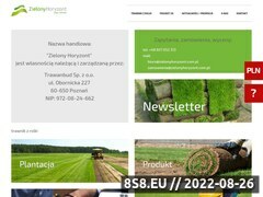 Miniaturka domeny zielonyhoryzont.com.pl