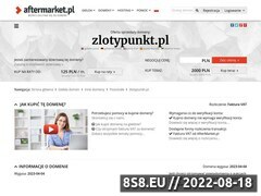 Miniaturka domeny zlotypunkt.pl