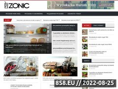 Miniaturka domeny zonic.pl