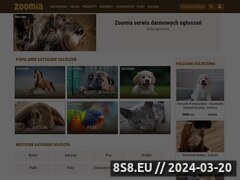 Miniaturka zoomia.pl (Zoomia łączy zwierzęta i ludzi)