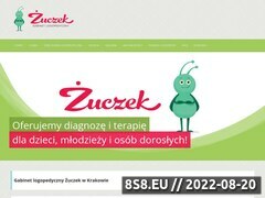 Miniaturka domeny zuczekkrakow.pl