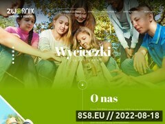 Miniaturka www.zwornik.pl (Zwornik. Szkolenia i Podróże)