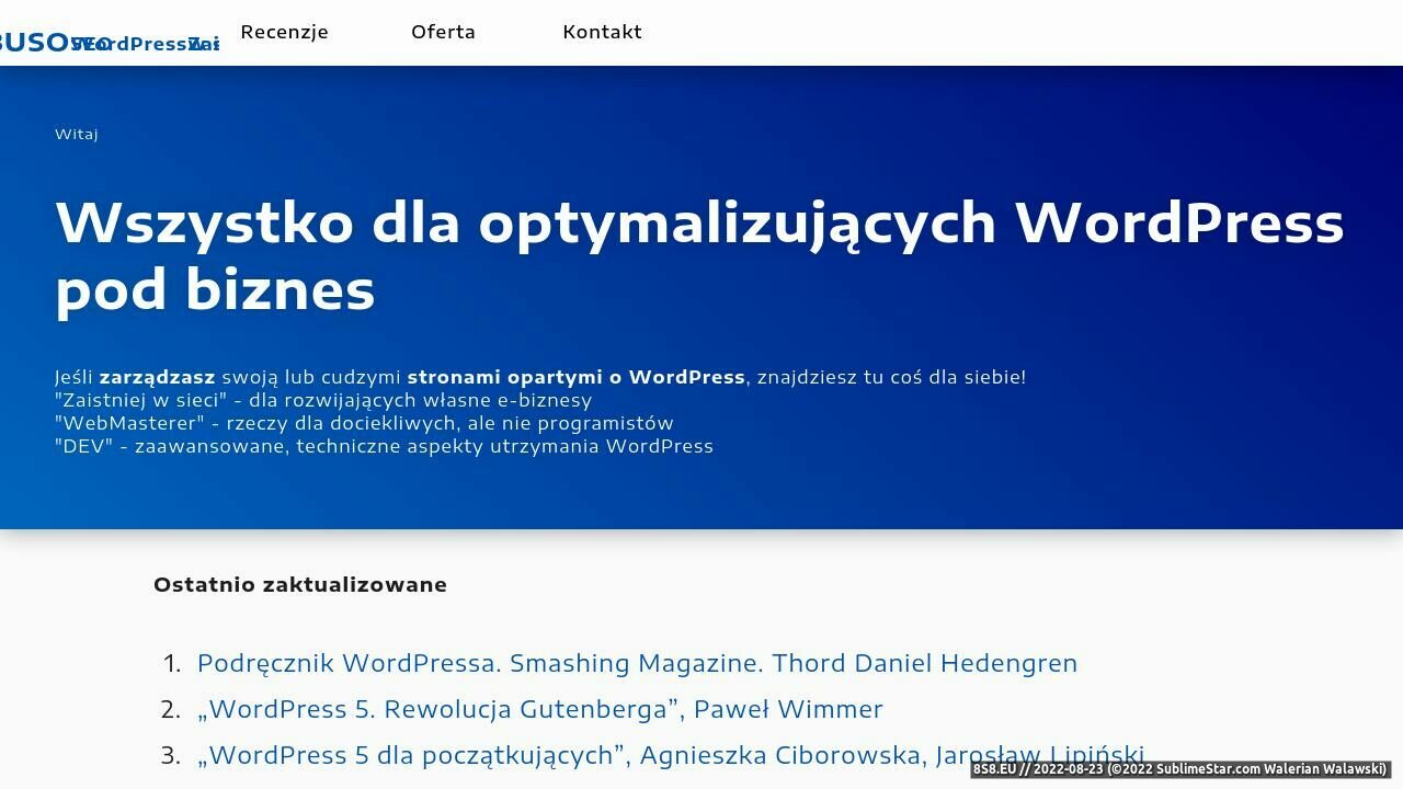 Zrzut ekranu Usługi informatyczne - Podwawelskie