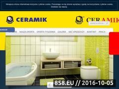Miniaturka domeny ceramik.info.pl
