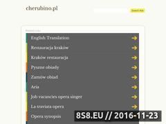 Miniaturka domeny www.cherubino.pl