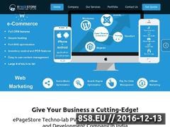 Ecommerce Website Development and E-Commerce Solution Website