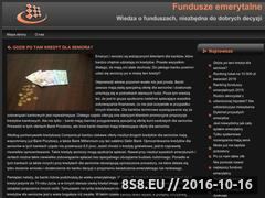 Miniaturka www.fundusze-emerytalne.org.pl (Informator o funduszach emerytalnych)