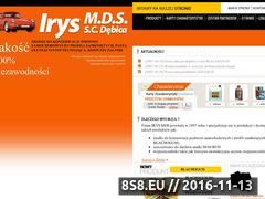 Miniaturka domeny www.irys-mds.pl