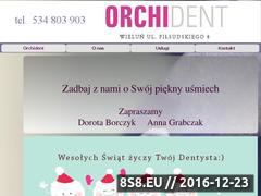 Miniaturka domeny orchident.pl
