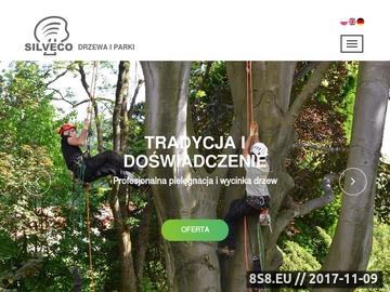 Zrzut strony Silveco.pl wycinka pielęgnacja drzew zagospodarowanie terenów zieleni