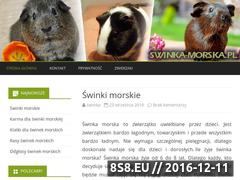 Miniaturka domeny www.swinka-morska.pl