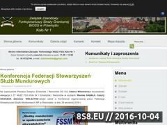 Miniaturka zieloneotoki.pl (TOZ EiR SG przy NSZZFSG BiOSG w Przemyślu)